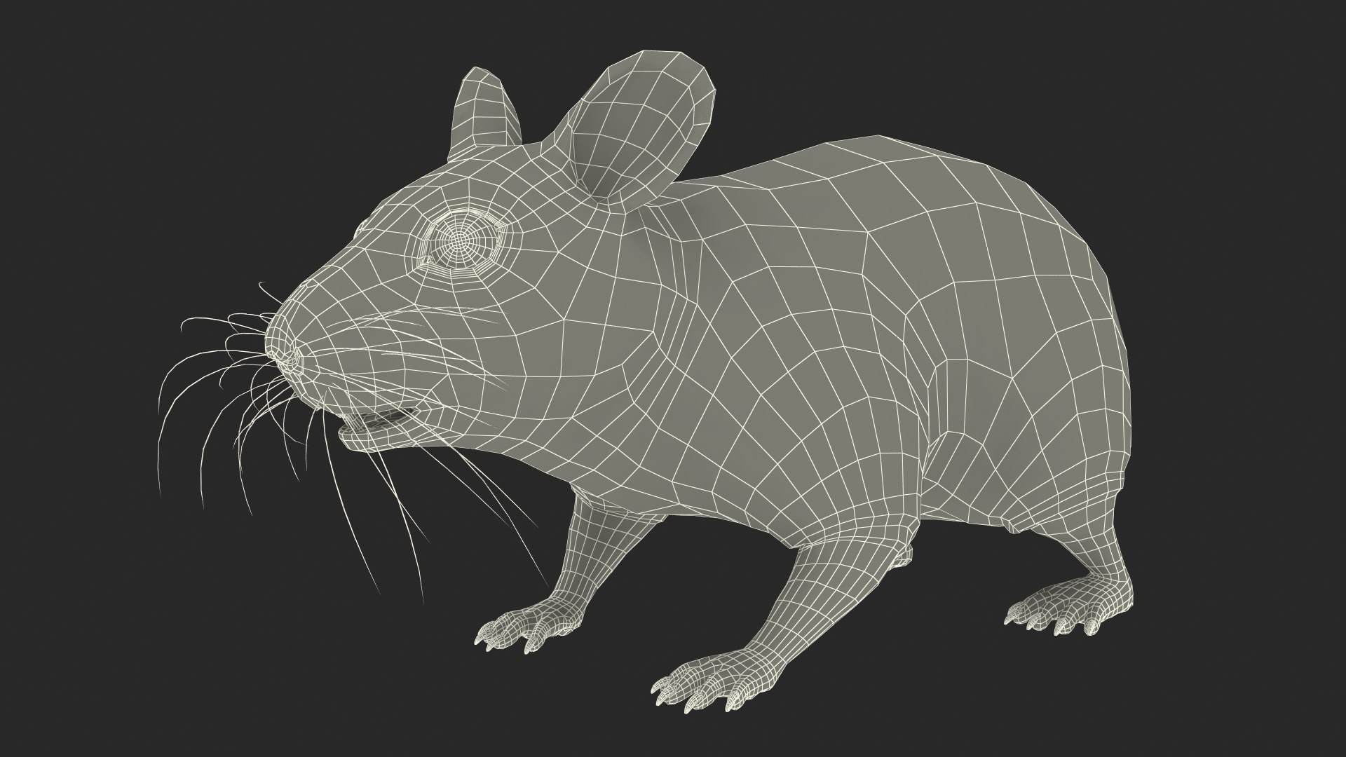 3D Syrian Hamster Black Rigged https://p.turbosquid.com/ts-thumb/KE/t7Gr1b/Z9/syrianhamsterblackriggedc4dmodel039/jpg/1680475014/1920x1080/fit_q87/732f815147282804b7f20ba084e987106ae959ce/syrianhamsterblackriggedc4dmodel039.jpg