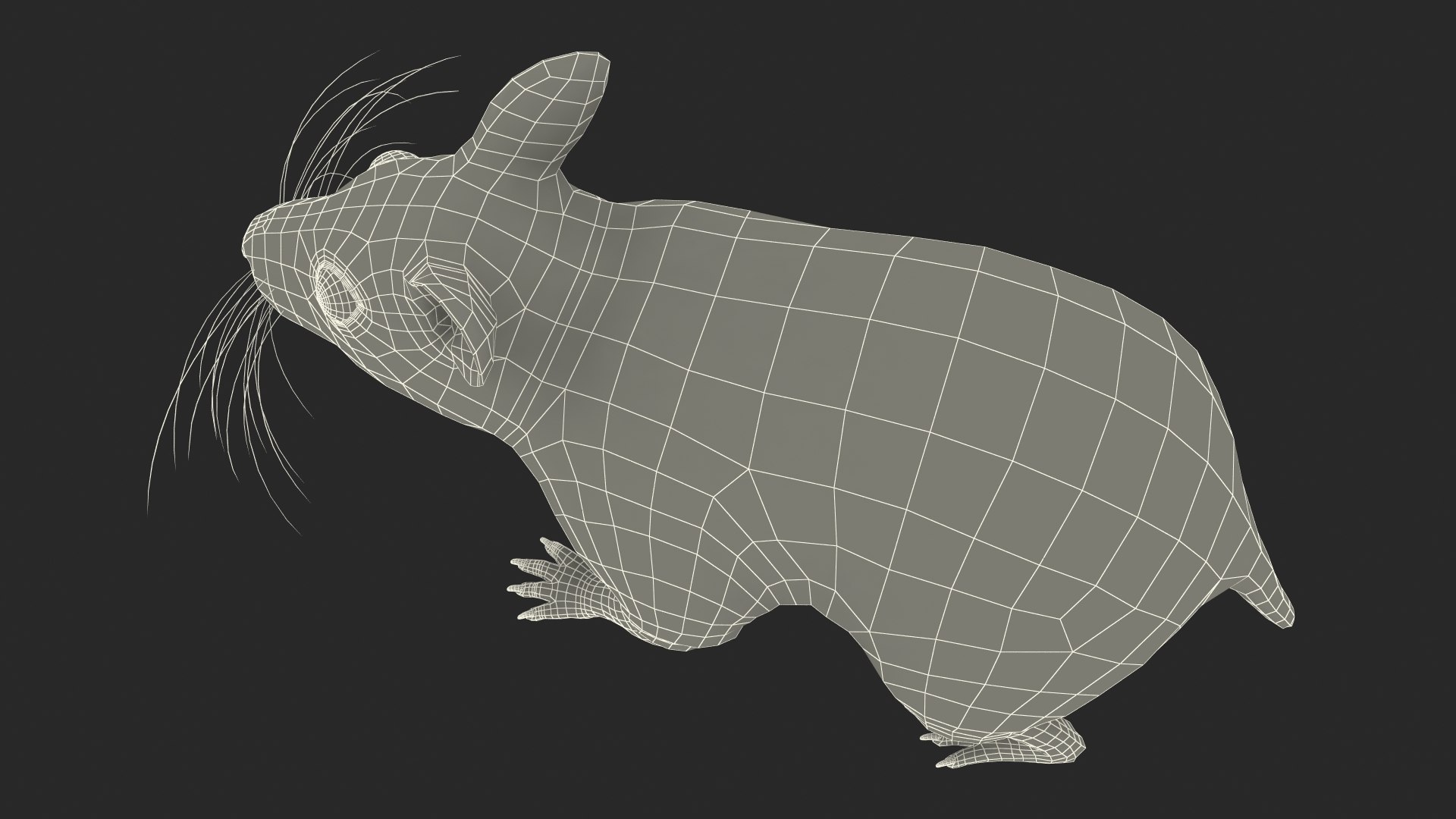 3D Syrian Hamster Black Rigged https://p.turbosquid.com/ts-thumb/KE/t7Gr1b/aR/syrianhamsterblackriggedc4dmodel041/jpg/1680475021/1920x1080/fit_q87/910534e374811049cd9d376dc57467507f6e1029/syrianhamsterblackriggedc4dmodel041.jpg