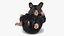 Syrian Hamster Black Rigged