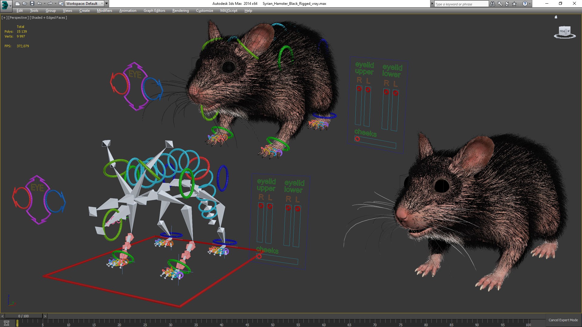 3D Syrian Hamster Black Rigged https://p.turbosquid.com/ts-thumb/KE/t7Gr1b/ep/syrianhamsterblackriggedc4dmodel034/jpg/1680475000/1920x1080/fit_q87/e3eeeb665194be44a2eda4c48e8e27b96363c1b9/syrianhamsterblackriggedc4dmodel034.jpg