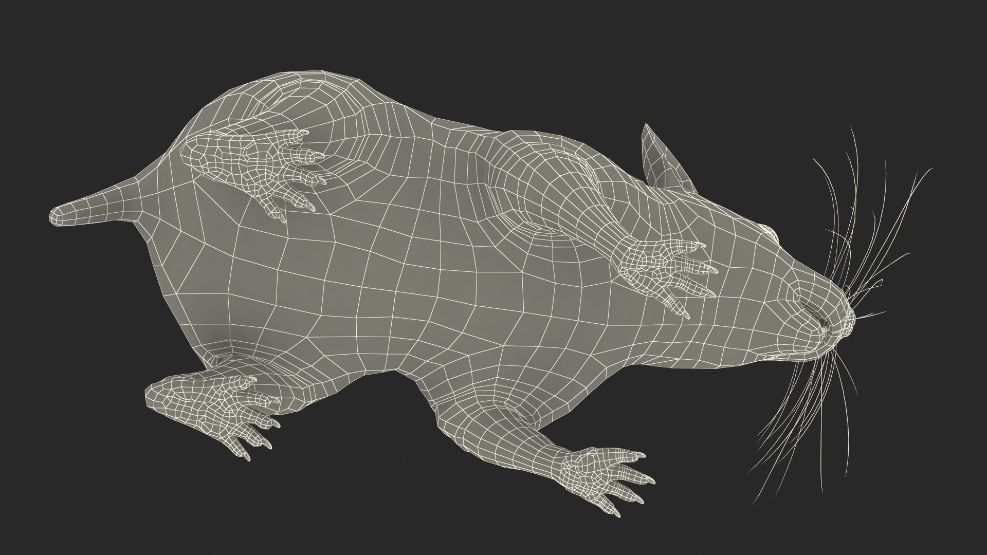 3D Syrian Hamster Black Rigged https://p.turbosquid.com/ts-thumb/KE/t7Gr1b/ga/syrianhamsterblackriggedc4dmodel042/jpg/1680475024/1920x1080/fit_q87/dd011d9b8ce3a88bc31b88995a43f2117a492272/syrianhamsterblackriggedc4dmodel042.jpg