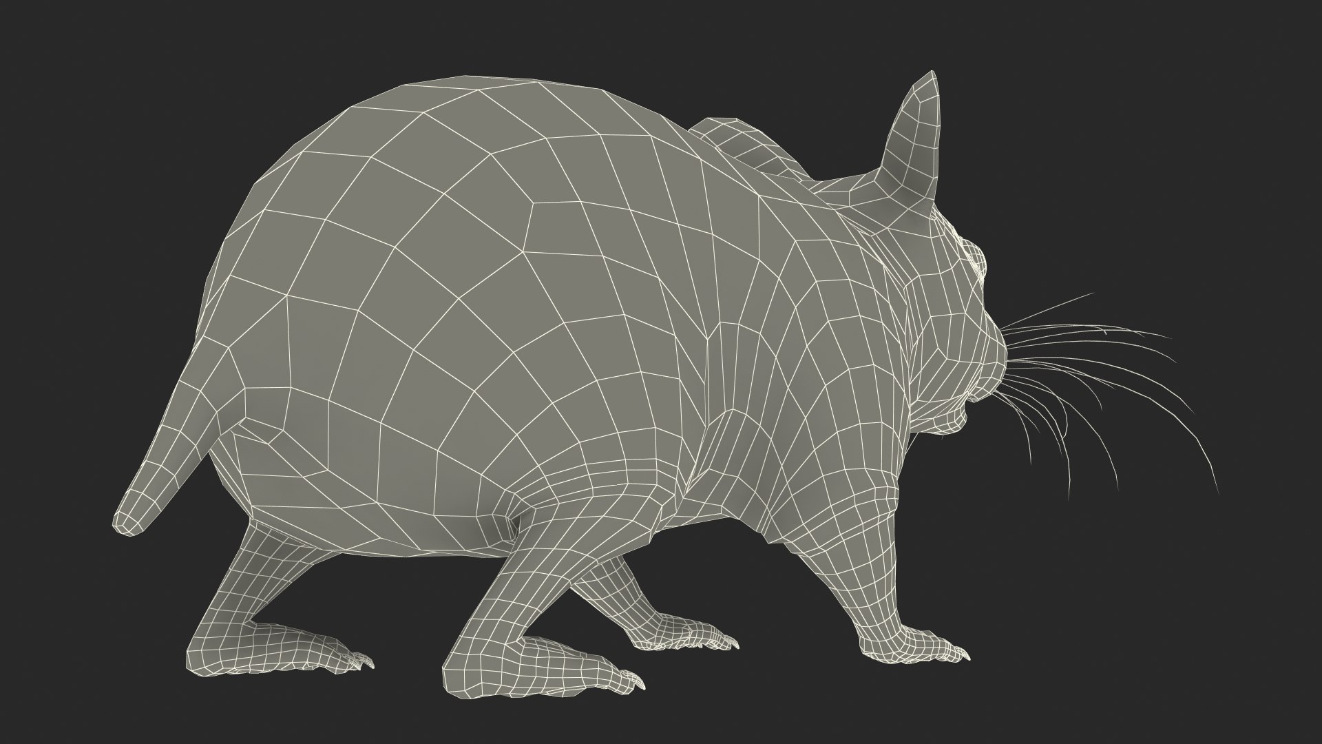 3D Syrian Hamster Black Rigged https://p.turbosquid.com/ts-thumb/KE/t7Gr1b/oU/syrianhamsterblackriggedc4dmodel040/jpg/1680475018/1920x1080/fit_q87/faaccdb00f4c82e2a19ffc0184dc6386be1bfb41/syrianhamsterblackriggedc4dmodel040.jpg
