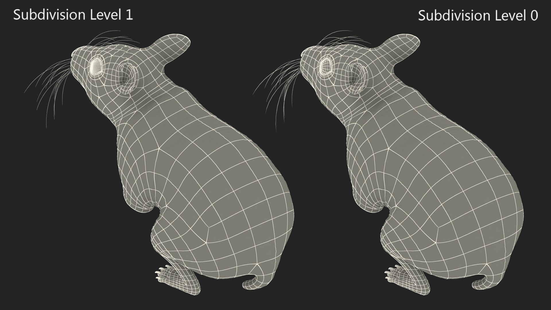3D Syrian Hamster Black Rigged https://p.turbosquid.com/ts-thumb/KE/t7Gr1b/pQ/syrianhamsterblackriggedc4dmodel035/jpg/1680475003/1920x1080/fit_q87/50dfd137a9749365e3c5c75430fce9aa84886da6/syrianhamsterblackriggedc4dmodel035.jpg