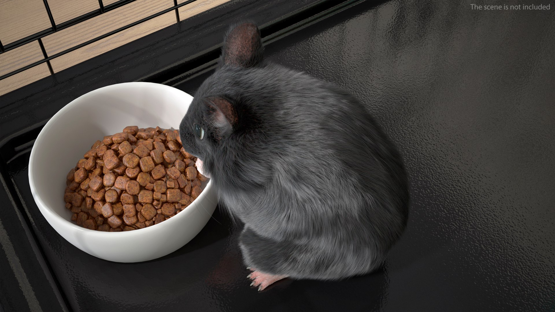 3D Syrian Hamster Black Rigged https://p.turbosquid.com/ts-thumb/KE/t7Gr1b/tm/syrianhamsterblackriggedc4dmodel008/jpg/1680474909/1920x1080/fit_q87/006fe3128782abbfe4c970667ff1fb21557ae94c/syrianhamsterblackriggedc4dmodel008.jpg