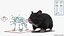 Syrian Hamster Black Rigged