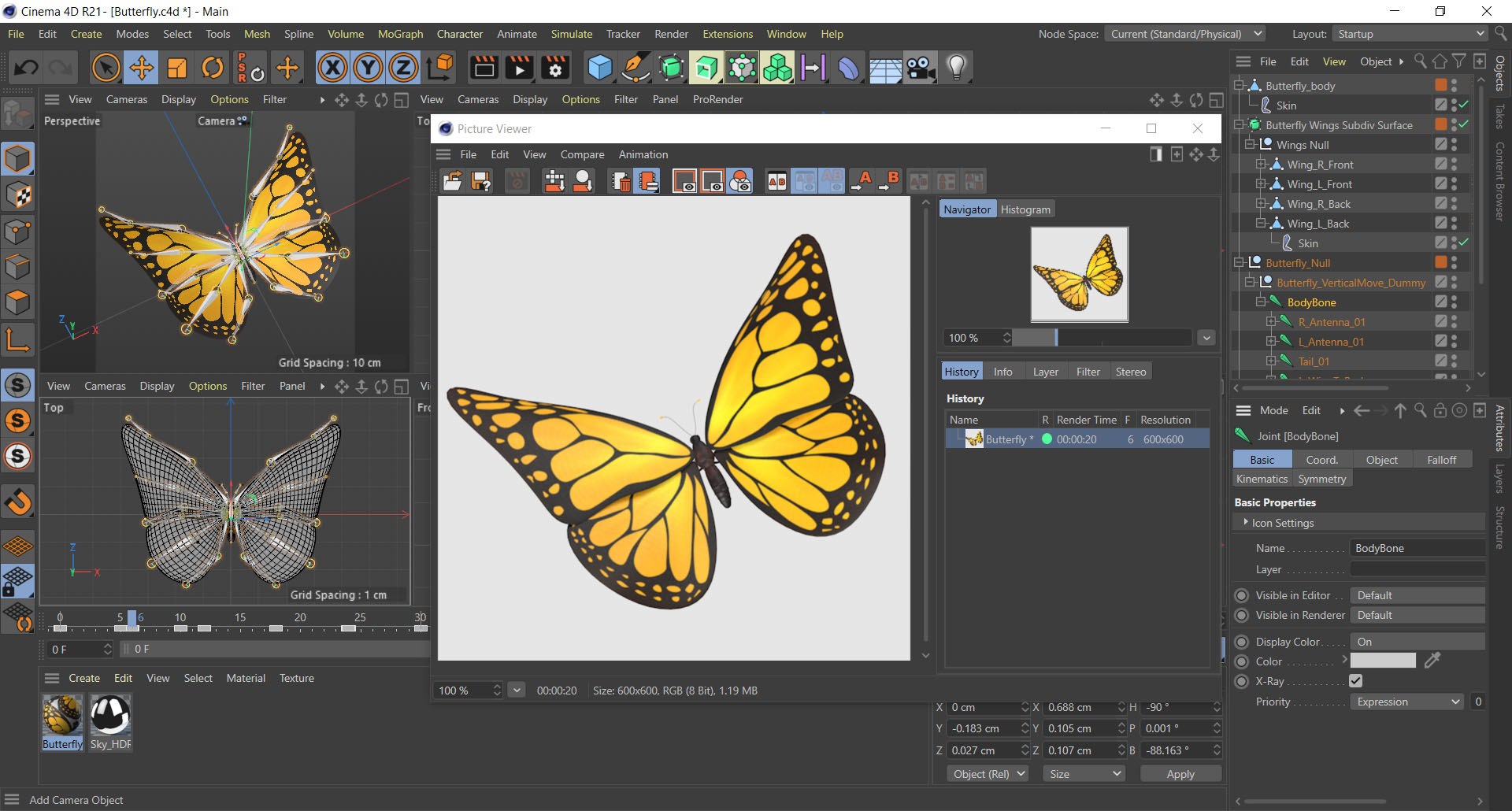 Butterfly with Flying Animation 3D https://p.turbosquid.com/ts-thumb/KE/tl5r3a/4B/butterflycinema4d/jpg/1659785278/1920x1080/fit_q87/42d5efaf0b0e5bfd32a3137fbd2ab8585f09cd78/butterflycinema4d.jpg