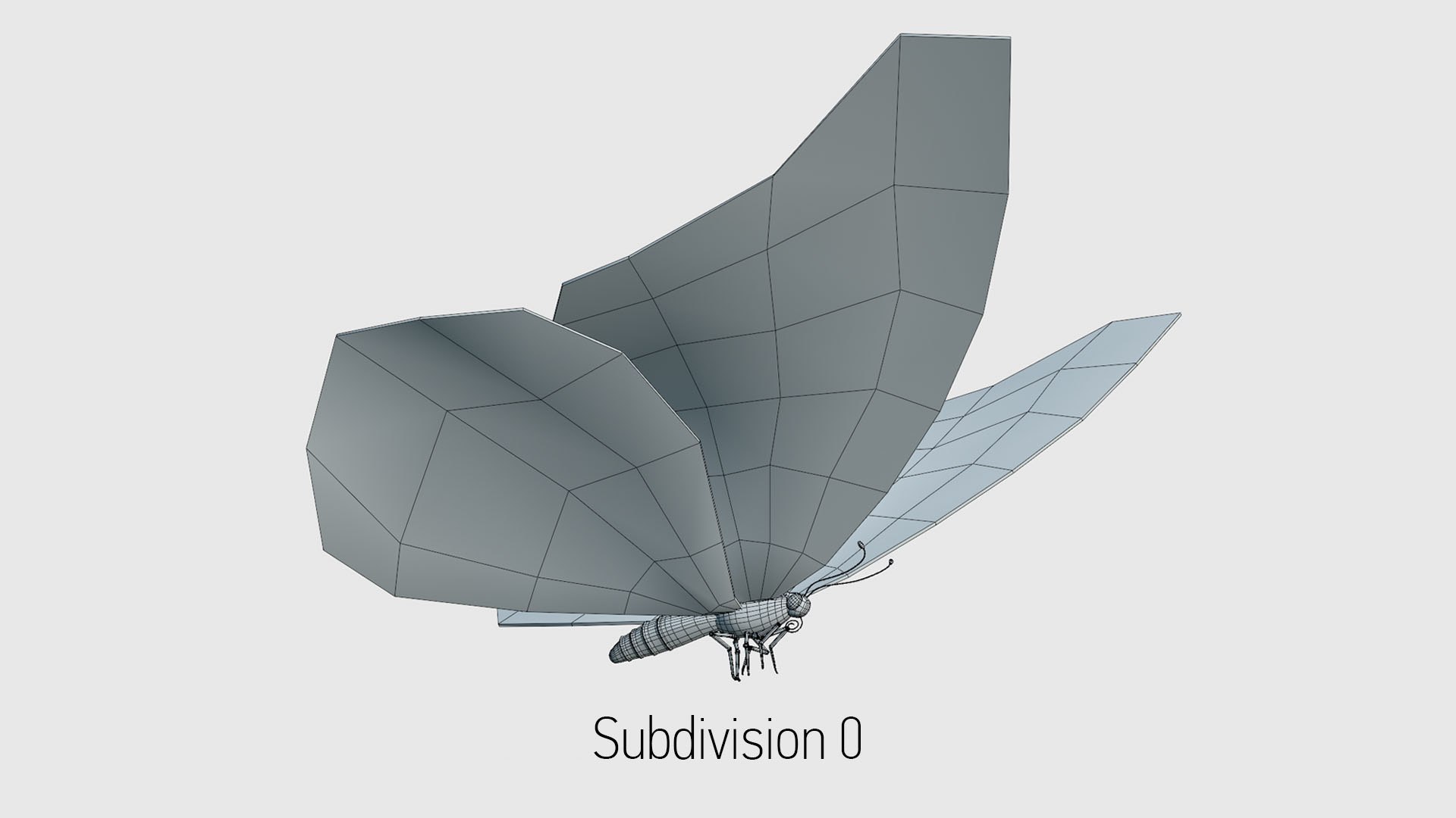 Butterfly with Flying Animation 3D https://p.turbosquid.com/ts-thumb/KE/tl5r3a/EM/butterflywire002a/jpg/1659785232/1920x1080/fit_q87/ea0cf07a569b1804821b7822b4be517984e73e0d/butterflywire002a.jpg