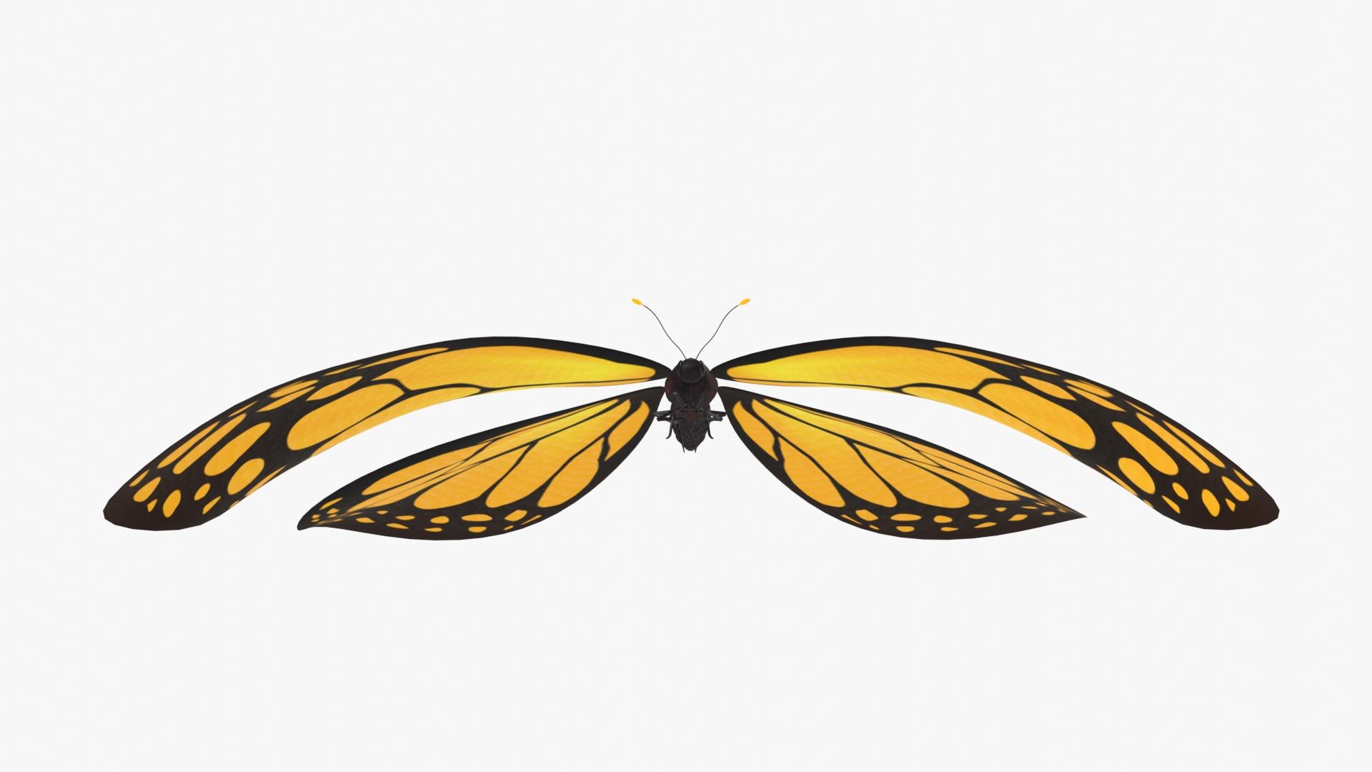 Butterfly with Flying Animation 3D https://p.turbosquid.com/ts-thumb/KE/tl5r3a/Nu/butterfly002/jpg/1659784989/1920x1080/fit_q87/2ba92b154b493a9f8d977679208bcdaa6c8dd91a/butterfly002.jpg