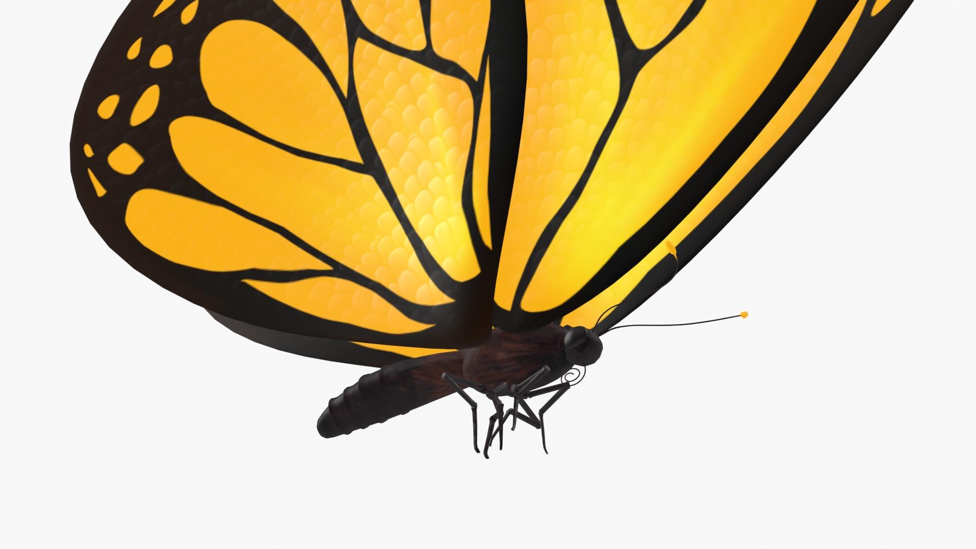 Butterfly with Flying Animation 3D https://p.turbosquid.com/ts-thumb/KE/tl5r3a/uN/butterfly003/jpg/1659784989/1920x1080/fit_q87/a5b2b5f71feeaa2c9c71c7974ef68105a7b314a5/butterfly003.jpg