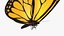 Schmetterling mit fliegender Animation