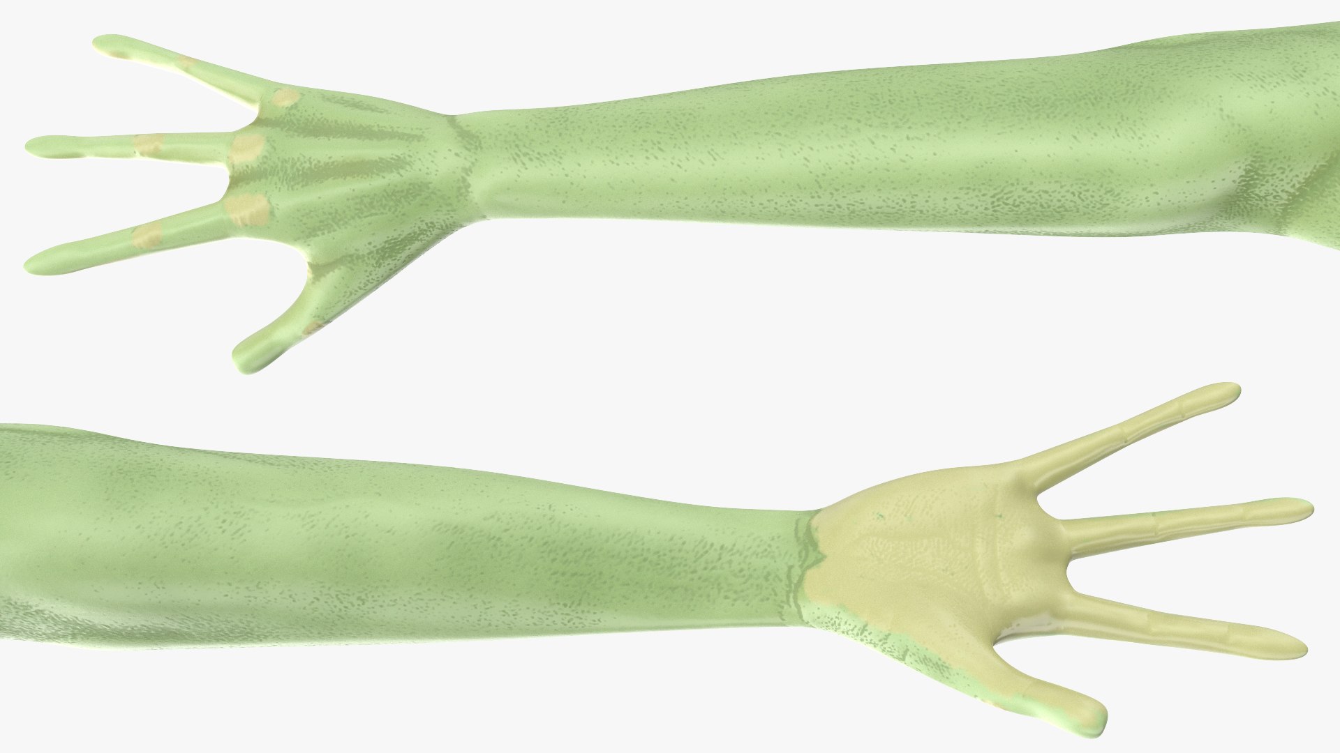 cartoon alien rigged model https://p.turbosquid.com/ts-thumb/KE/w5bMKF/5VViilN9/cartoonalienrigged3dsmodel018/jpg/1596841029/1920x1080/fit_q87/8cc994bea168aa5b64cbebc2a477f5a40c9d9c6e/cartoonalienrigged3dsmodel018.jpg