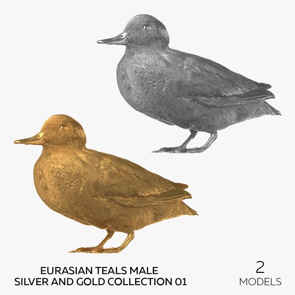 3D model Eurasian Teals Male Silver and Gold Collection 01 - 2 models