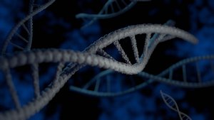 Stylized DNA Double Helix