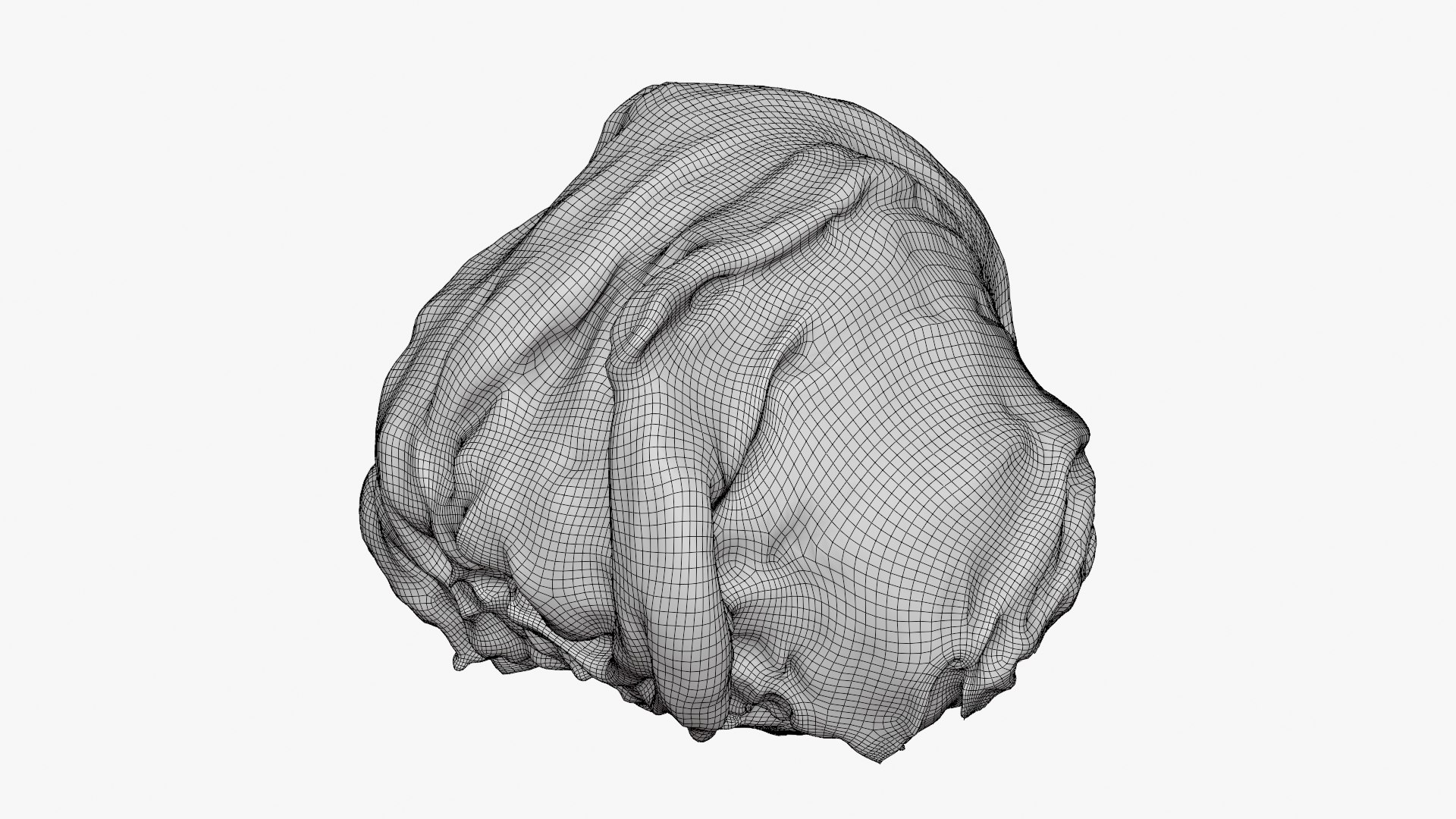 Iceberg Lettuce model https://p.turbosquid.com/ts-thumb/KF/8UjqtC/0N/iceberglettuce_d0002/png/1768822114/1920x1080/fit_q87/613ba07a3add0b75771d515d1e0ae095651a3e20/iceberglettuce_d0002.jpg