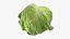 Lattuga iceberg