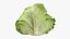 Lattuga iceberg