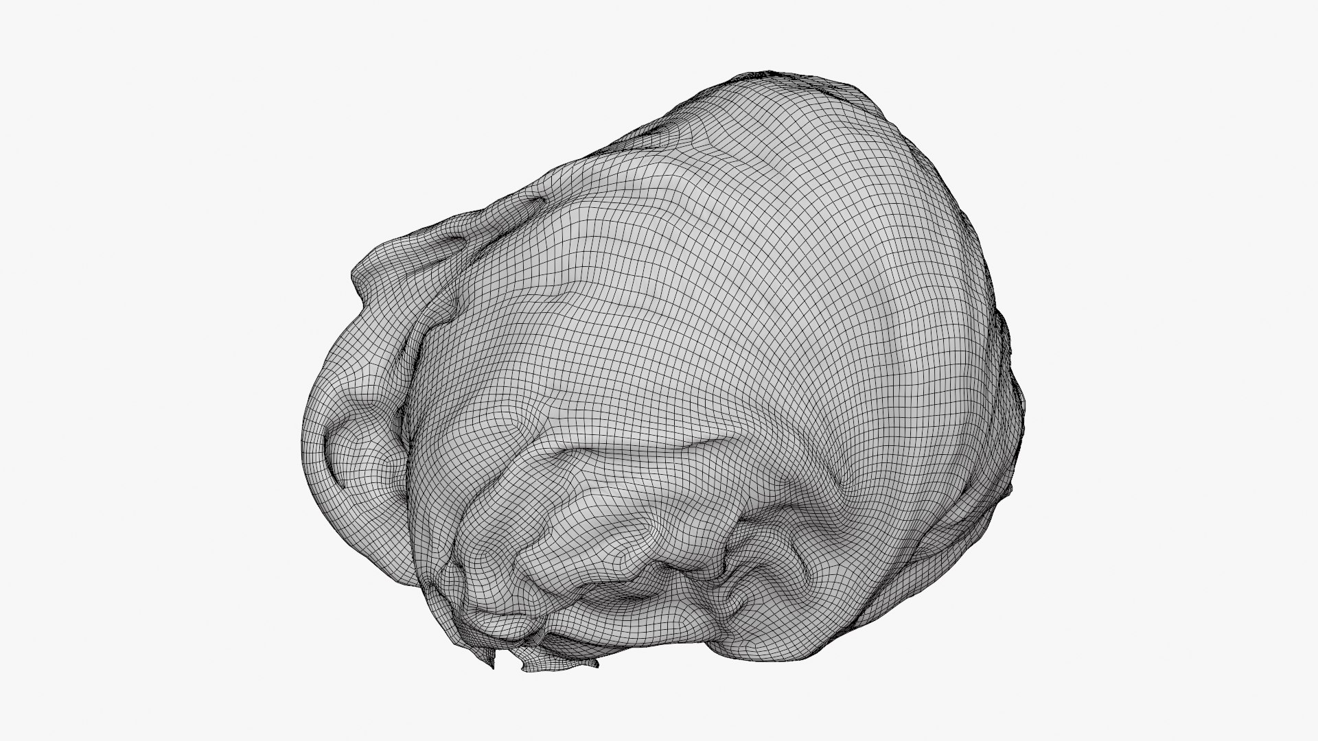 Iceberg Lettuce model https://p.turbosquid.com/ts-thumb/KF/8UjqtC/CF/iceberglettuce_d0004/png/1768822118/1920x1080/fit_q87/048ec513ffa487c596694e238db3d9489d1e3d82/iceberglettuce_d0004.jpg