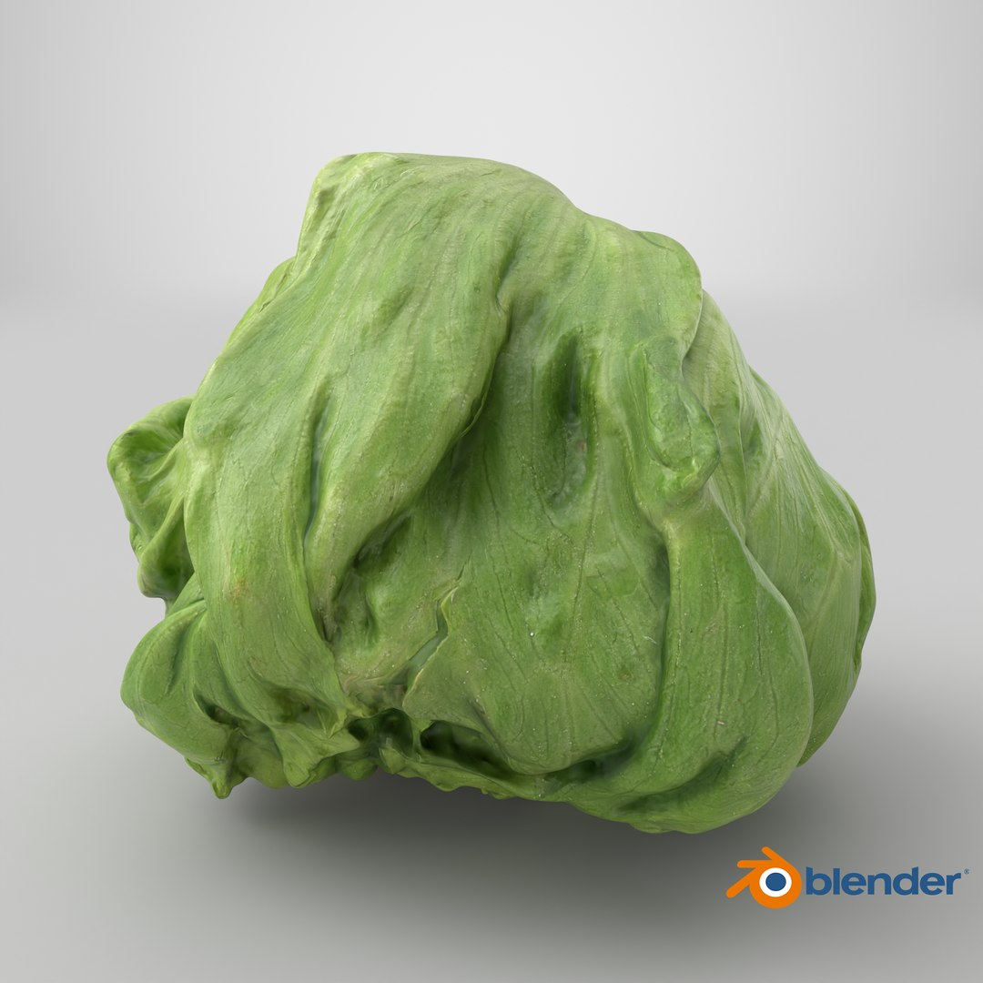 Iceberg Lettuce model https://p.turbosquid.com/ts-thumb/KF/8UjqtC/Kx/stemcell_blender_cycles_render/png/1769437460/1920x1080/fit_q87/dfc89d129a8842705a610d511aa08c25ad1d3eb7/stemcell_blender_cycles_render.jpg