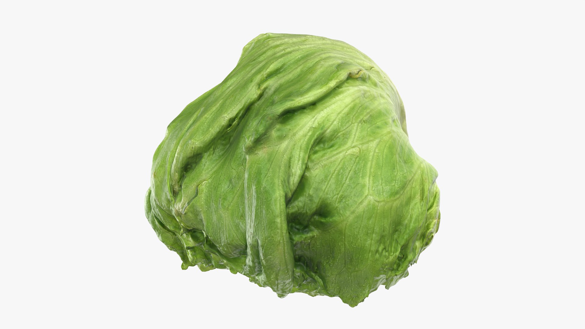 Iceberg Lettuce model https://p.turbosquid.com/ts-thumb/KF/8UjqtC/Sd/iceberglettuce_0002/png/1768822082/1920x1080/fit_q87/08741339b1f7a4b69c3ea540b979bd613653040a/iceberglettuce_0002.jpg