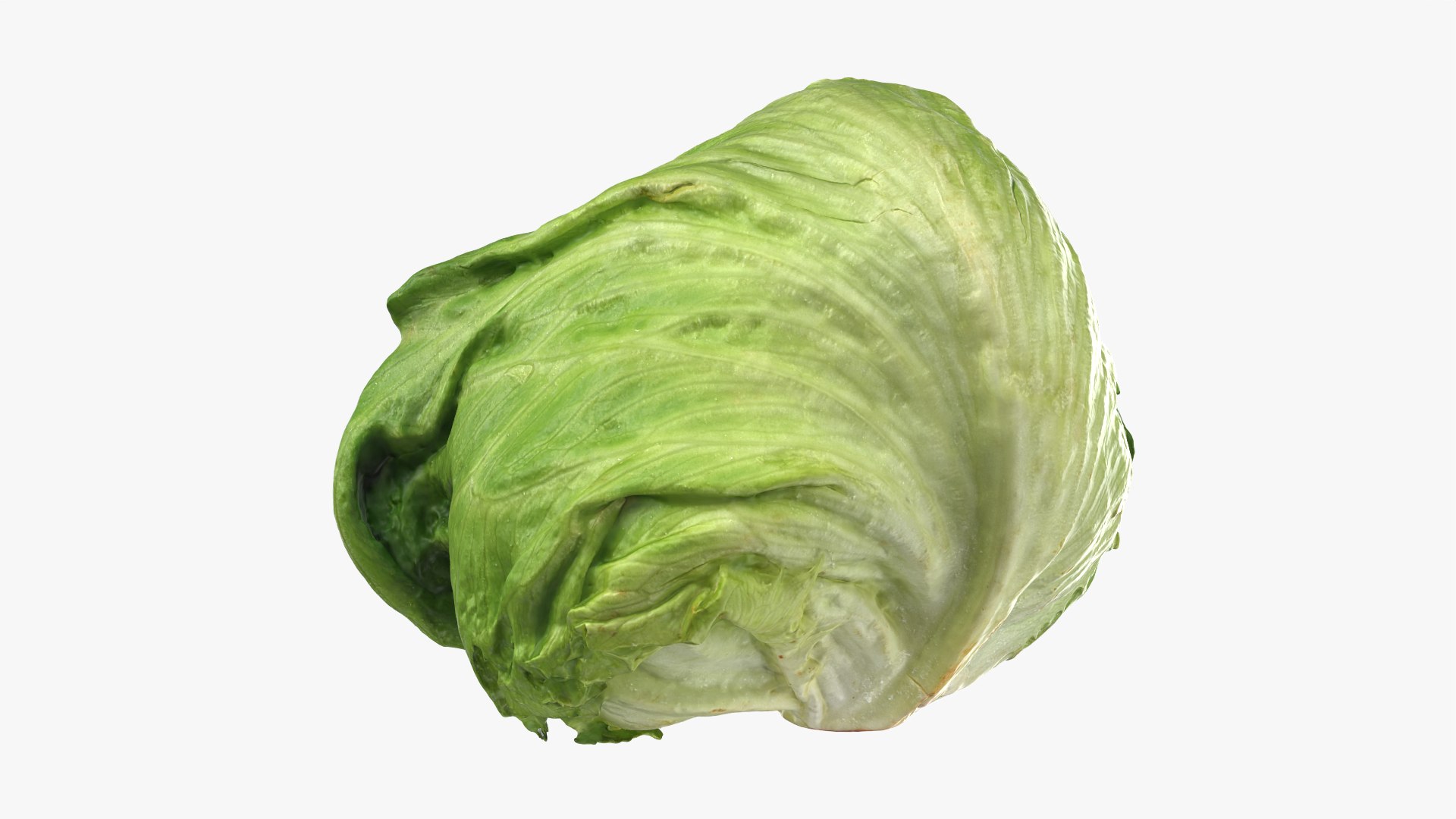 Iceberg Lettuce model https://p.turbosquid.com/ts-thumb/KF/8UjqtC/UM/iceberglettuce_0004/png/1768822094/1920x1080/fit_q87/03d078c41e448ab73e9a3612247cd4e2a06e69fe/iceberglettuce_0004.jpg