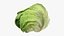 Lattuga iceberg