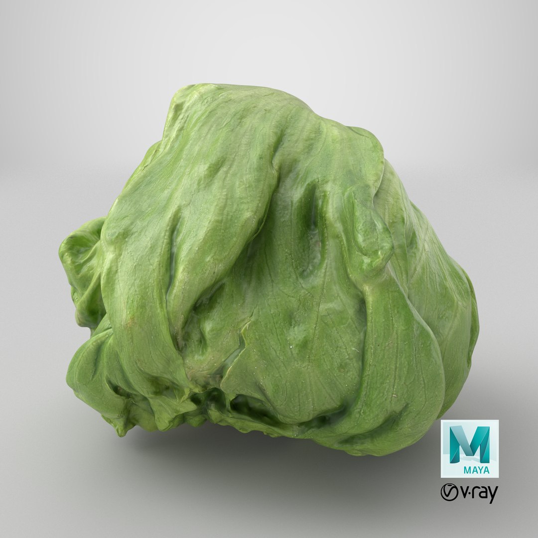 Iceberg Lettuce model https://p.turbosquid.com/ts-thumb/KF/8UjqtC/ka/stemcell_maya_vray_render/png/1769437466/1920x1080/fit_q87/13b70e50d21da634f4bebd71a46535d44c76d8d8/stemcell_maya_vray_render.jpg