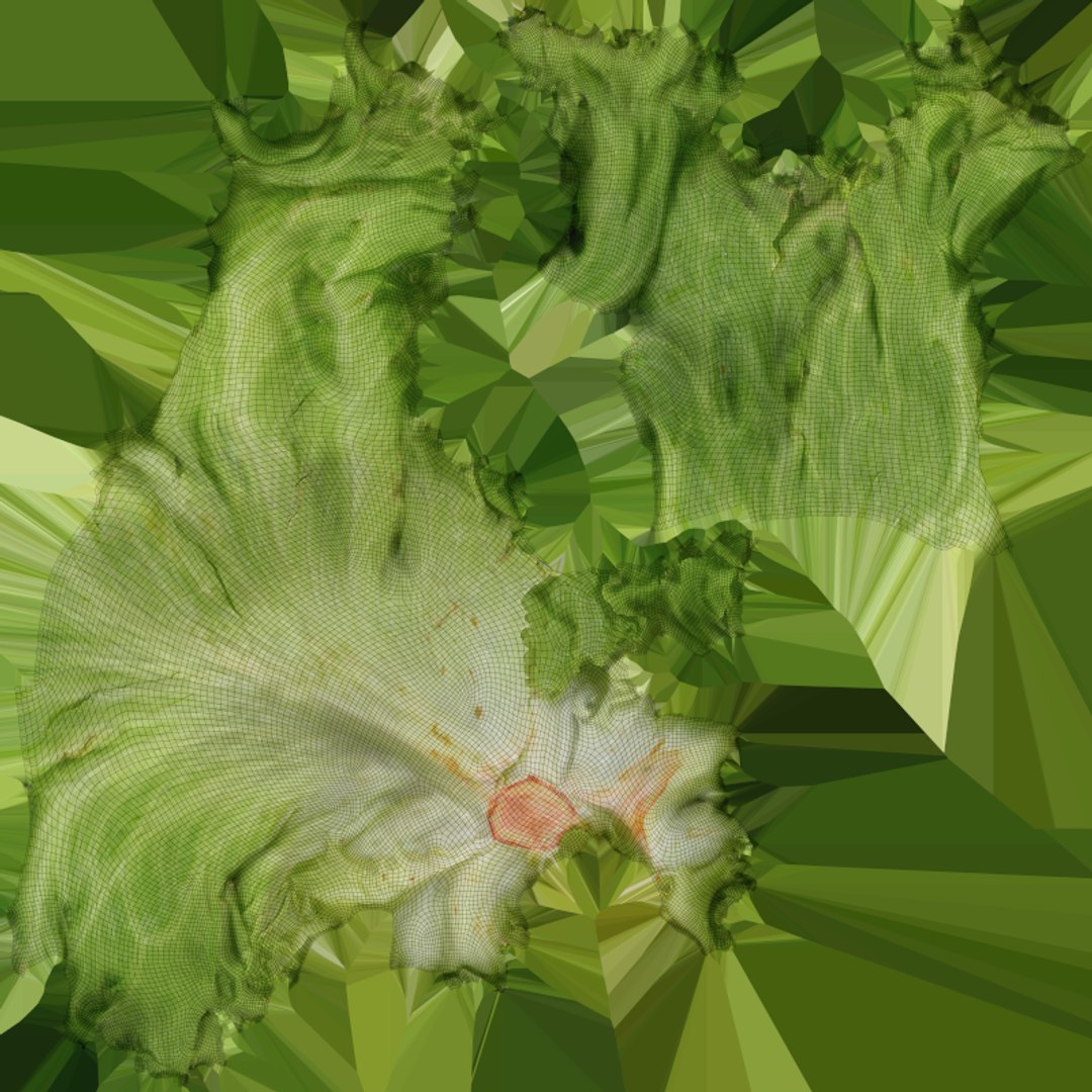 Iceberg Lettuce model https://p.turbosquid.com/ts-thumb/KF/8UjqtC/rn/iceberglettuce_c0004/png/1768822111/1920x1080/fit_q87/ba1799cc1d1355f2efbd86ee3b9bb9d2cffd0b70/iceberglettuce_c0004.jpg