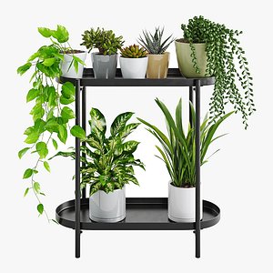 Houseplant 88 Olivblad plant stand 3D model