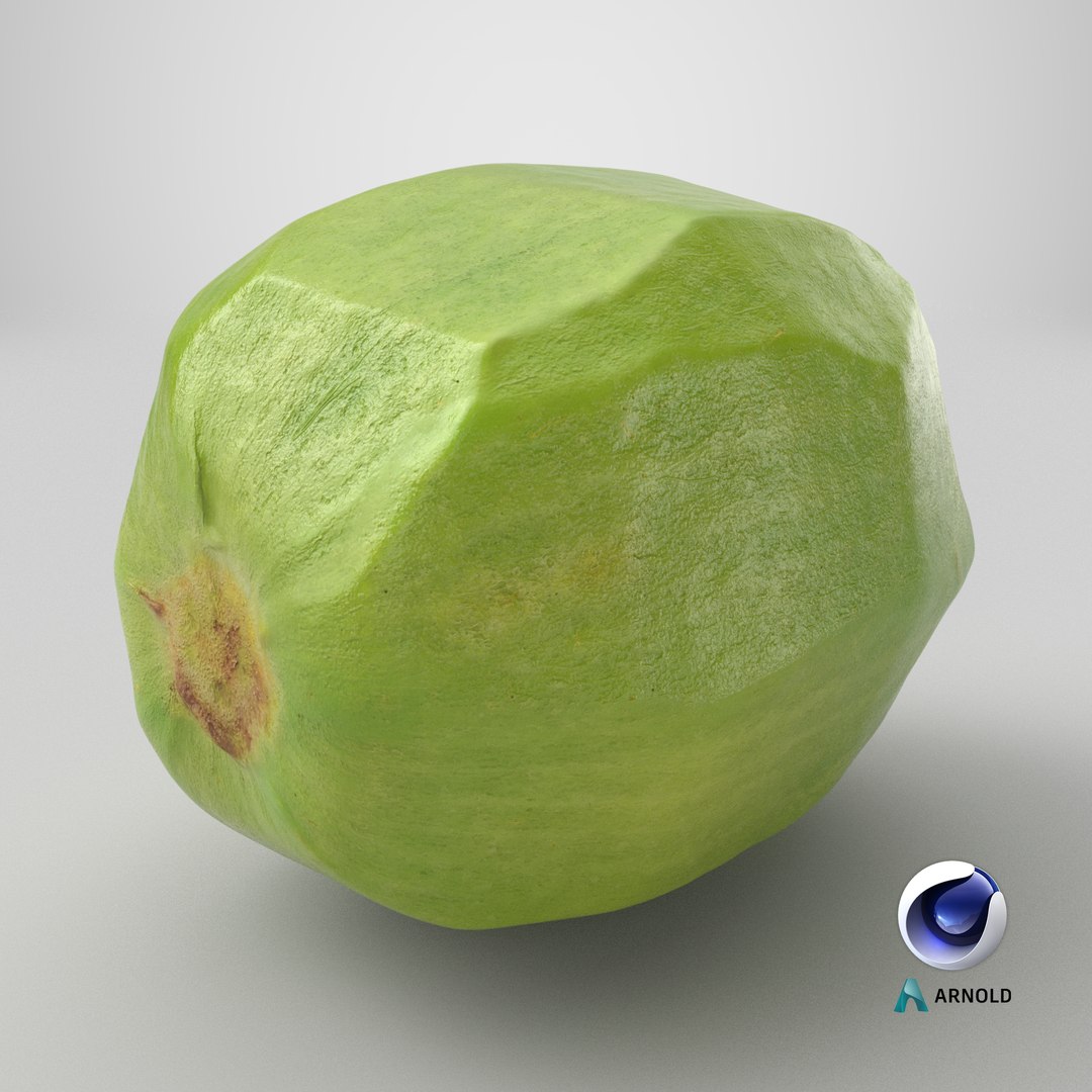 3D Peeled Kiwi - 3D Scanned https://p.turbosquid.com/ts-thumb/KF/C6GZEk/iK/stemcell_cinema_4d_arnold_render/png/1773235876/1920x1080/fit_q87/1ccae92f4a1bda74c1208694ca8c51351010d550/stemcell_cinema_4d_arnold_render.jpg