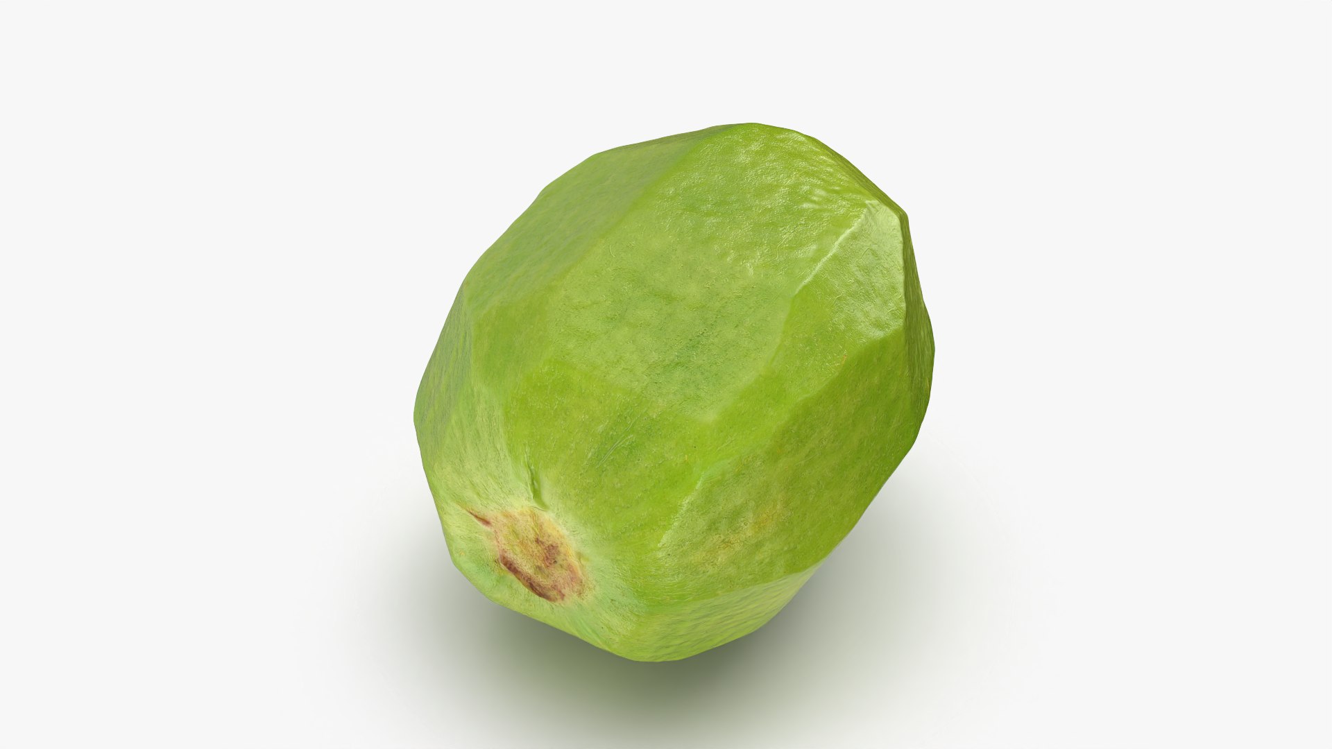 3D Peeled Kiwi - 3D Scanned https://p.turbosquid.com/ts-thumb/KF/C6GZEk/pL/kiwipeeled_0010/png/1770561647/1920x1080/fit_q87/48df569cd6f7fd7d064a61737f4ff7decb3c632a/kiwipeeled_0010.jpg