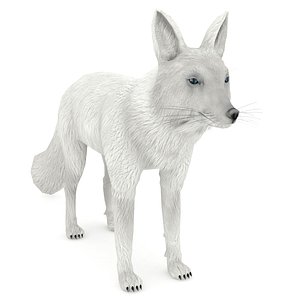 3D white fox