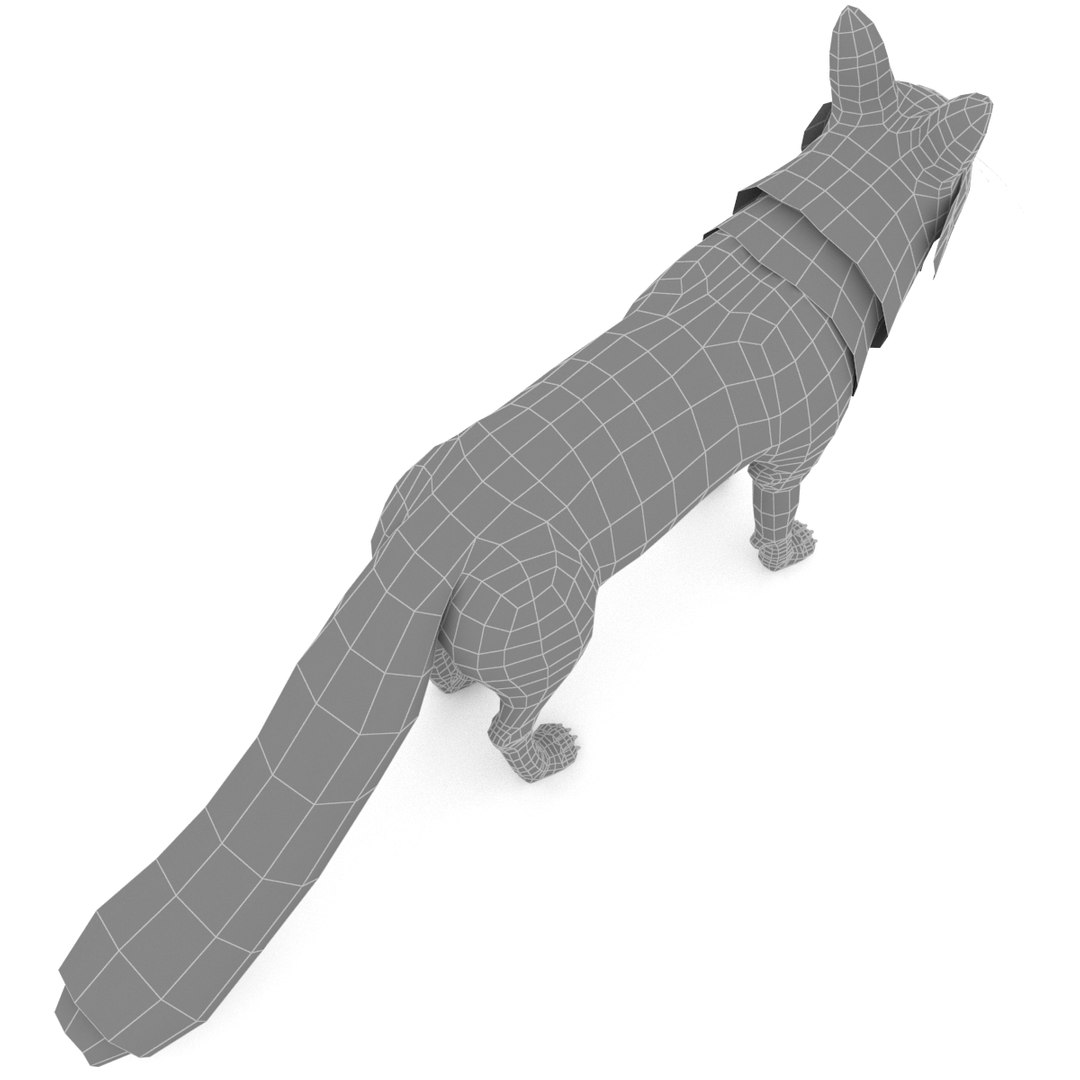3D White Fox - TurboSquid 1432201