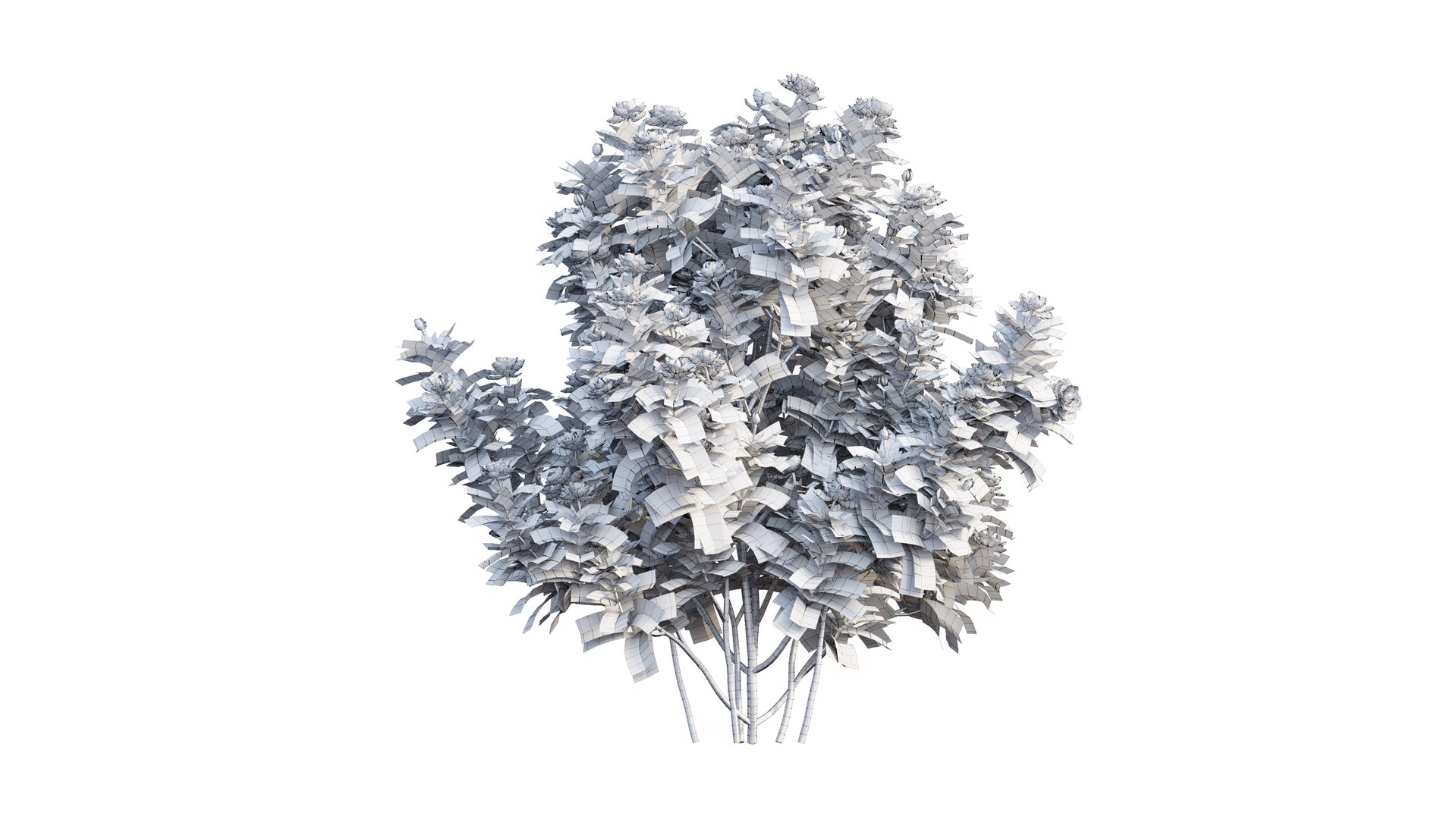gardenia angustifolia plant 06 3D model https://p.turbosquid.com/ts-thumb/KF/KgLMUL/lR8psGuX/6_interactivelightmix/png/1597127104/1920x1080/fit_q87/62110dfc8610bc65138eb49ea0986ab5f1385f83/6_interactivelightmix.jpg