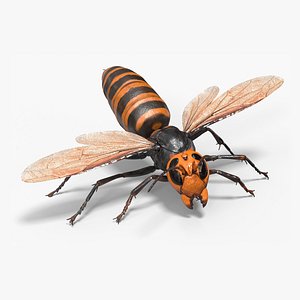 Huge Hornet Rigged 3D model