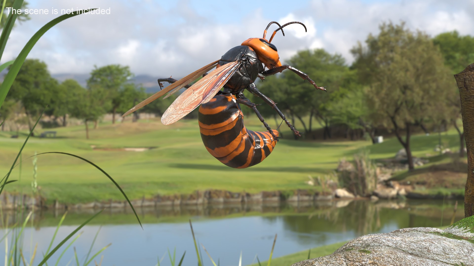 Huge Hornet Rigged 3D model https://p.turbosquid.com/ts-thumb/KF/QtY8bu/HM/huge_hornet_rigged_006/jpg/1730655517/1920x1080/fit_q87/b2a2f1ca790780e0504a0b0d256dc98141959123/huge_hornet_rigged_006.jpg