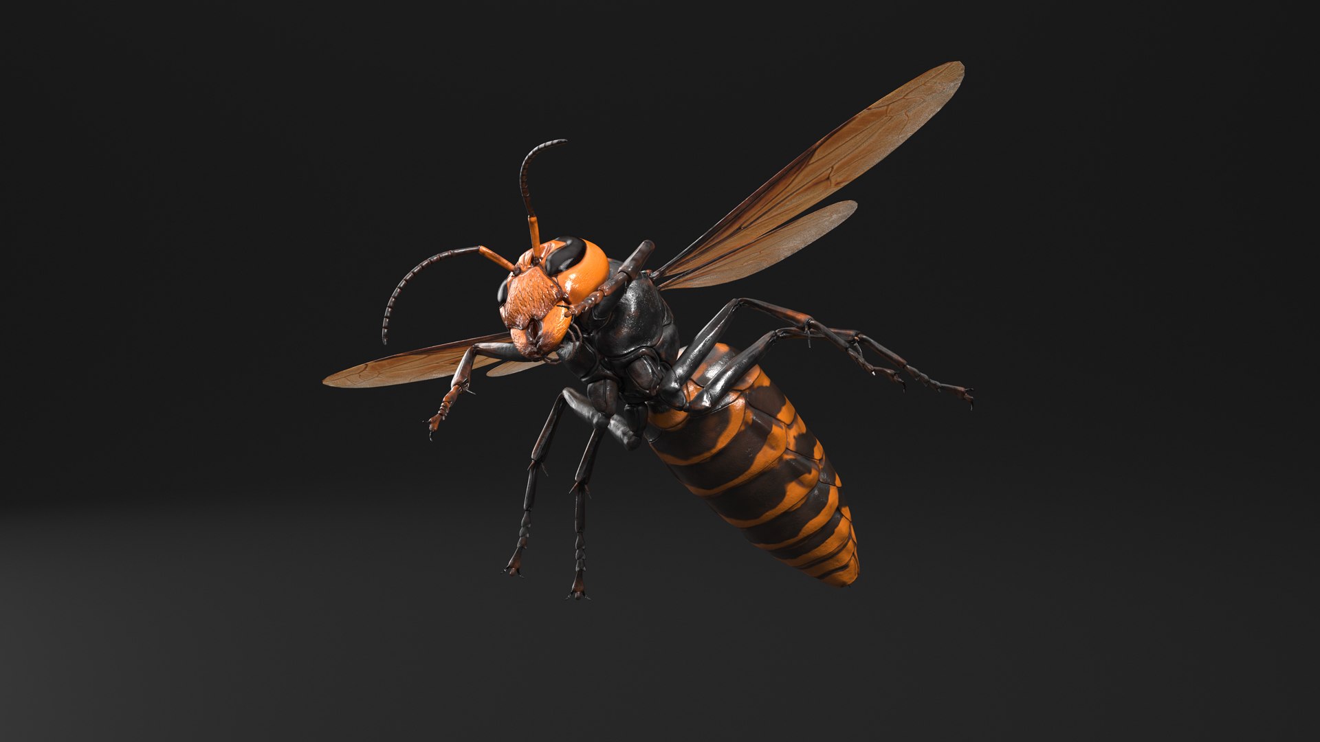 Huge Hornet Rigged 3D model https://p.turbosquid.com/ts-thumb/KF/QtY8bu/Pz/huge_hornet_rigged_008/jpg/1730655525/1920x1080/fit_q87/d1ff83a13af834c34df4af1a0a417ff6f4f75a4f/huge_hornet_rigged_008.jpg