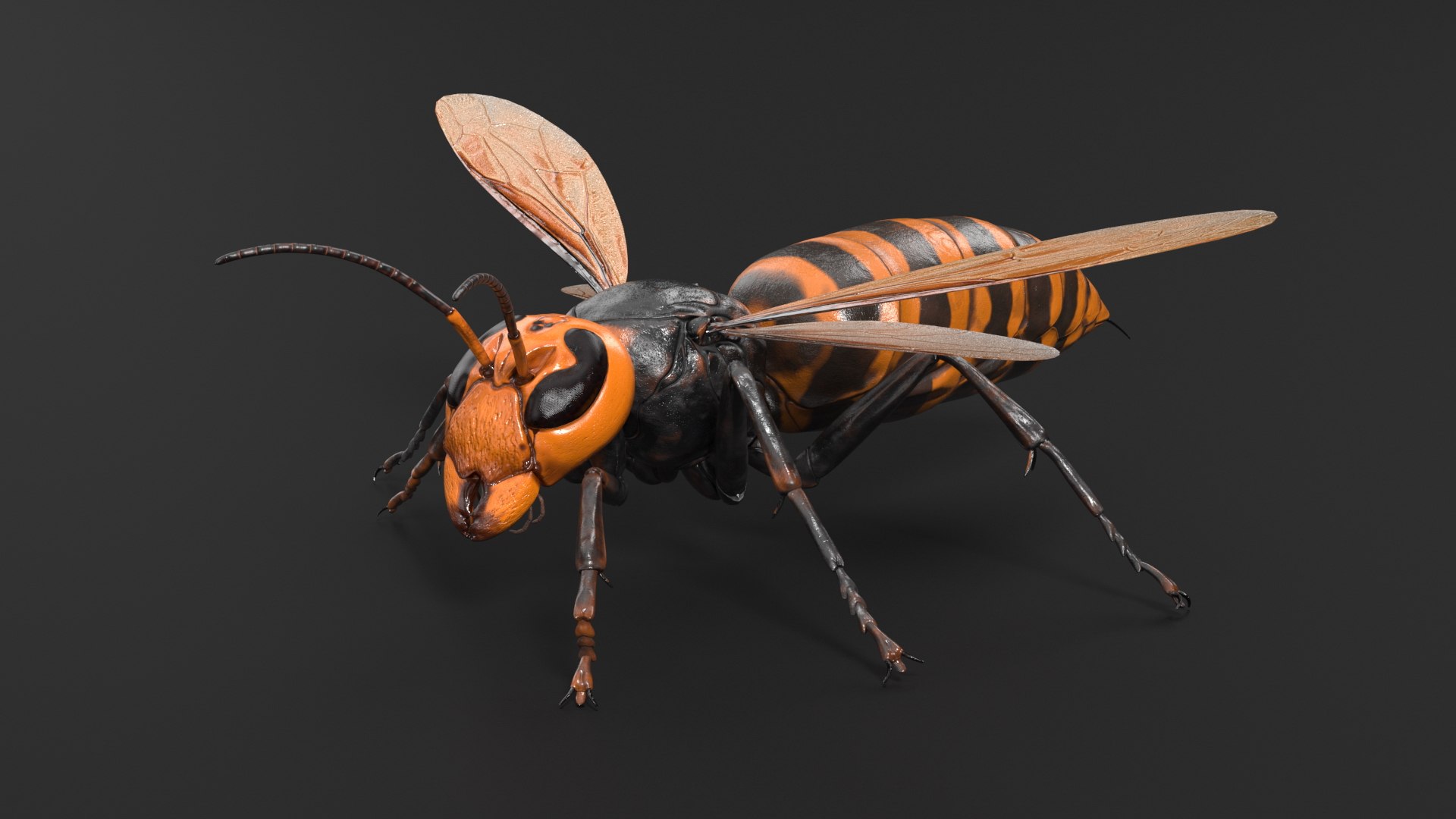 Huge Hornet Rigged 3D model https://p.turbosquid.com/ts-thumb/KF/QtY8bu/Rv/huge_hornet_rigged_009/jpg/1730655530/1920x1080/fit_q87/fae84d3f57620b520776048fadad002a09444972/huge_hornet_rigged_009.jpg