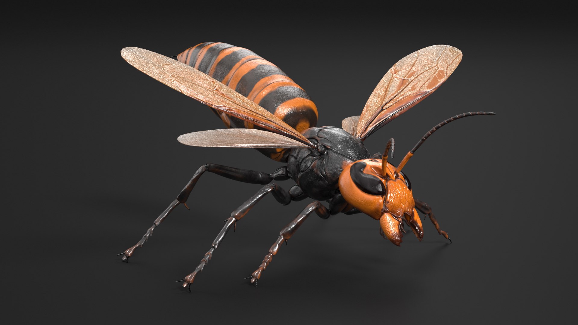 Huge Hornet Rigged 3D model https://p.turbosquid.com/ts-thumb/KF/QtY8bu/XI/huge_hornet_rigged_007/jpg/1730655521/1920x1080/fit_q87/192934d8c95104ec7d928d31e6aa929cd4a69ea3/huge_hornet_rigged_007.jpg