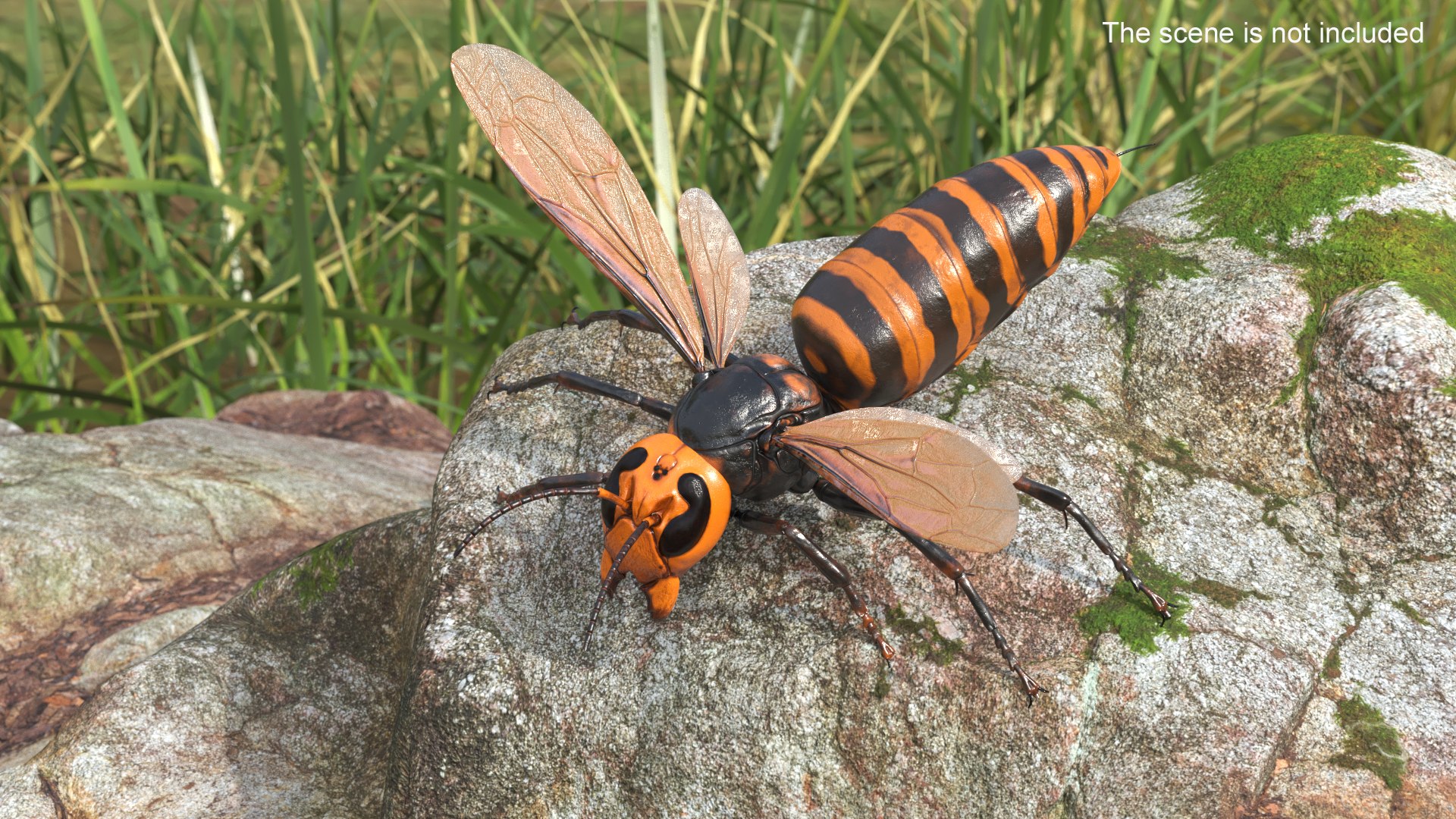Huge Hornet Rigged 3D model https://p.turbosquid.com/ts-thumb/KF/QtY8bu/ax/huge_hornet_rigged_004/jpg/1730655508/1920x1080/fit_q87/8f41fd478a93993559a4fcddfa367d11abb998c2/huge_hornet_rigged_004.jpg