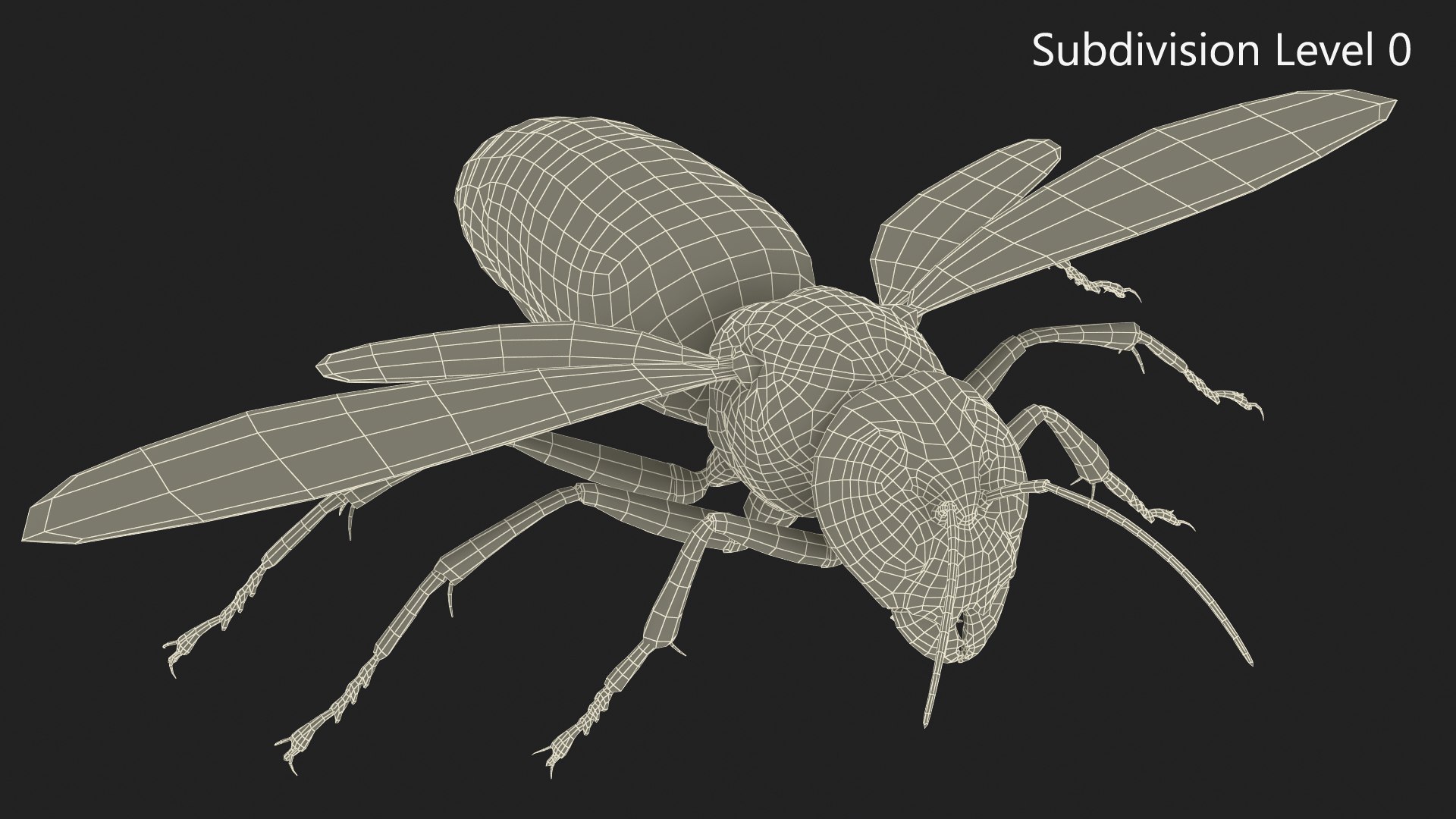 Huge Hornet Rigged 3D model https://p.turbosquid.com/ts-thumb/KF/QtY8bu/fS/huge_hornet_rigged_016/jpg/1730655559/1920x1080/fit_q87/c101dc901f1ce7024ed84f0d63d9250b439ad00f/huge_hornet_rigged_016.jpg