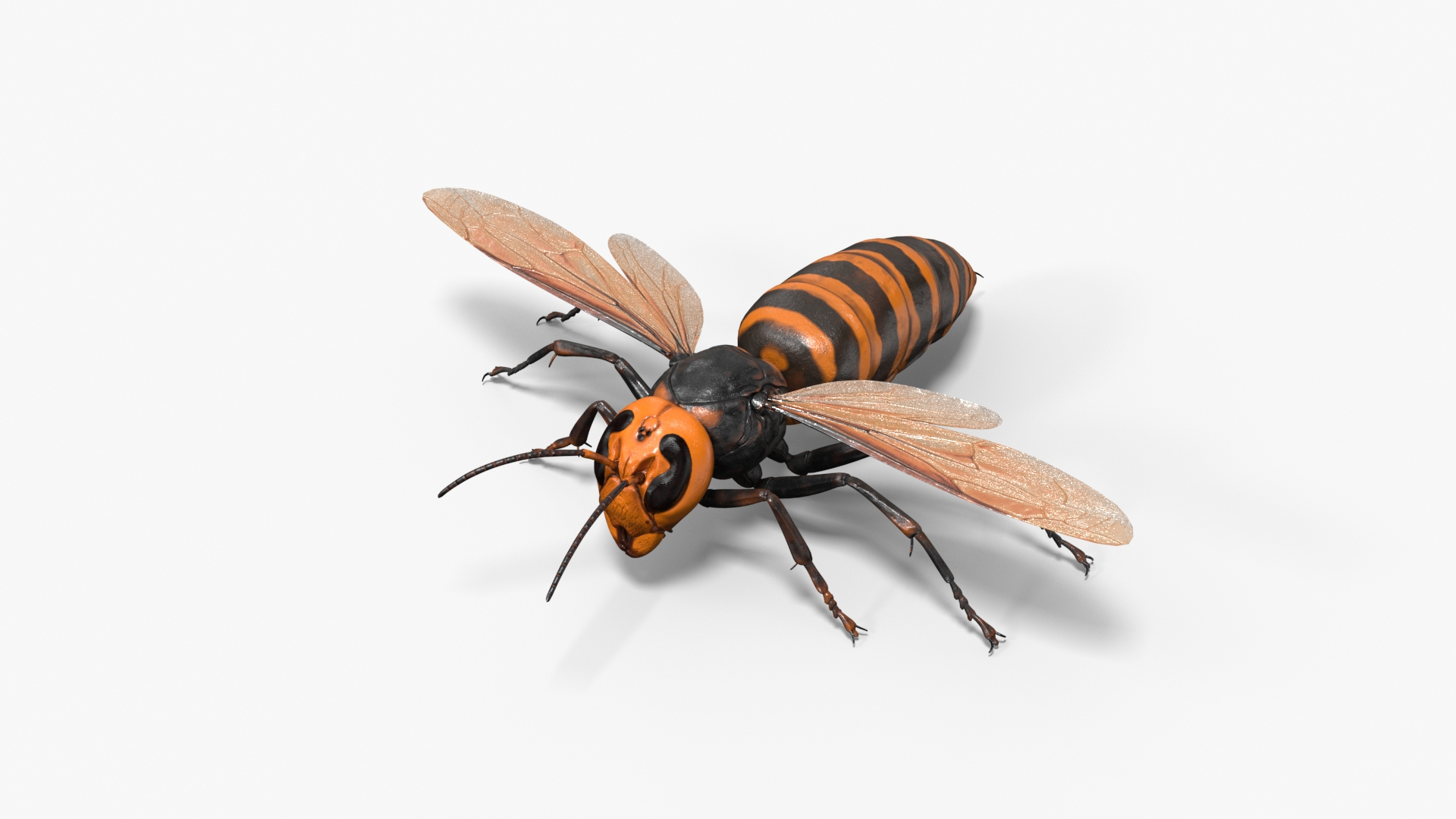 Huge Hornet Rigged 3D model https://p.turbosquid.com/ts-thumb/KF/QtY8bu/hM/huge_hornet_rigged_360/jpg/1730655197/1920x1080/turn_fit_q99/819b5018b9d5bf2cb375b57084fea06d861ea8fe/huge_hornet_rigged_360-1.jpg