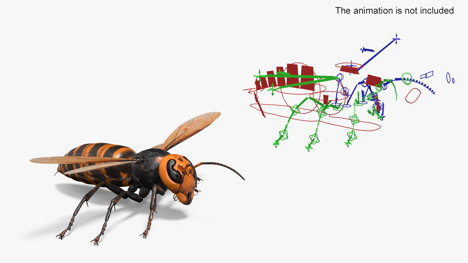 Huge Hornet Rigged 3D model https://p.turbosquid.com/ts-thumb/KF/QtY8bu/k1/huge_hornet_rigged_362/jpg/1730655400/1920x1080/turn_fit_q99/48e58d08d8355fd770110f1d567a50884ce1d049/huge_hornet_rigged_362-1.jpg
