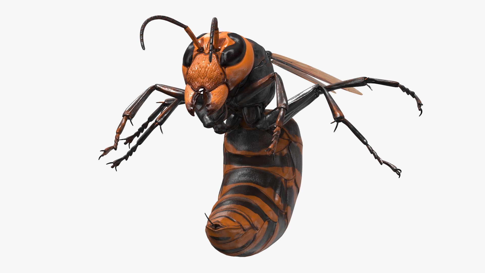 Huge Hornet Rigged 3D model https://p.turbosquid.com/ts-thumb/KF/QtY8bu/li/huge_hornet_rigged_012/jpg/1730655542/1920x1080/fit_q87/231c1529a10925af0c907c3a6befb144633d4f35/huge_hornet_rigged_012.jpg