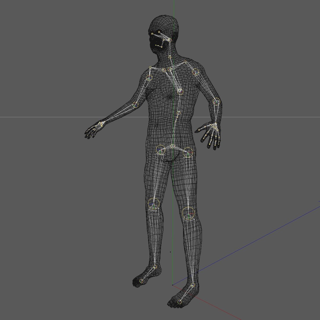 3d Realistic Base Mesh Old