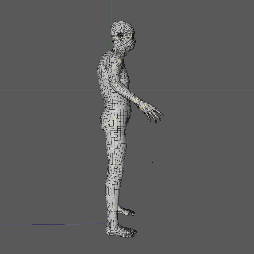 3d Realistic Base Mesh Old