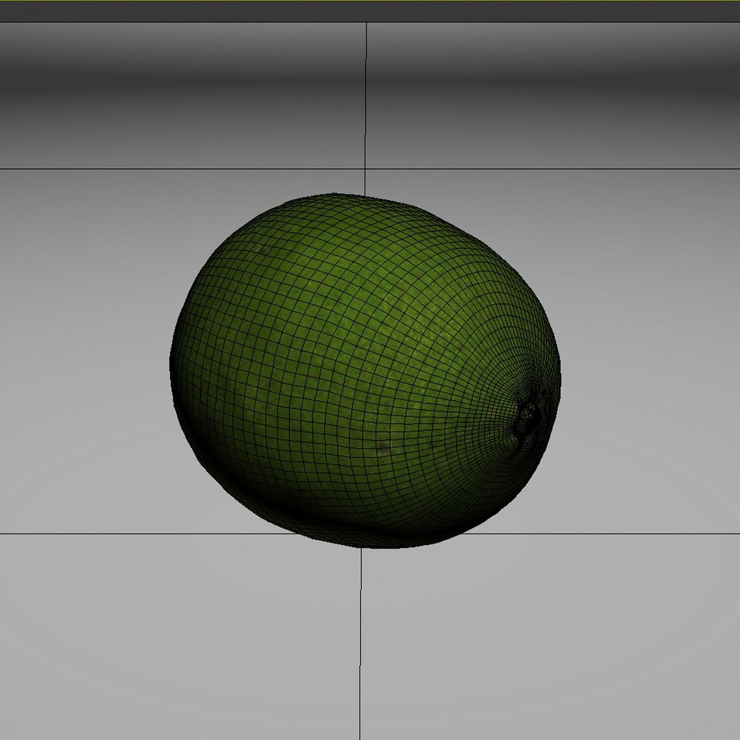 3dsmax lime https://p.turbosquid.com/ts-thumb/KF/RpmIkc/DlDvja7c/thumb_grab1/jpg/1361137596/1920x1080/fit_q87/d4b2fe7cbf75ddec919ff2e0ed961e551ea96b6c/thumb_grab1.jpg