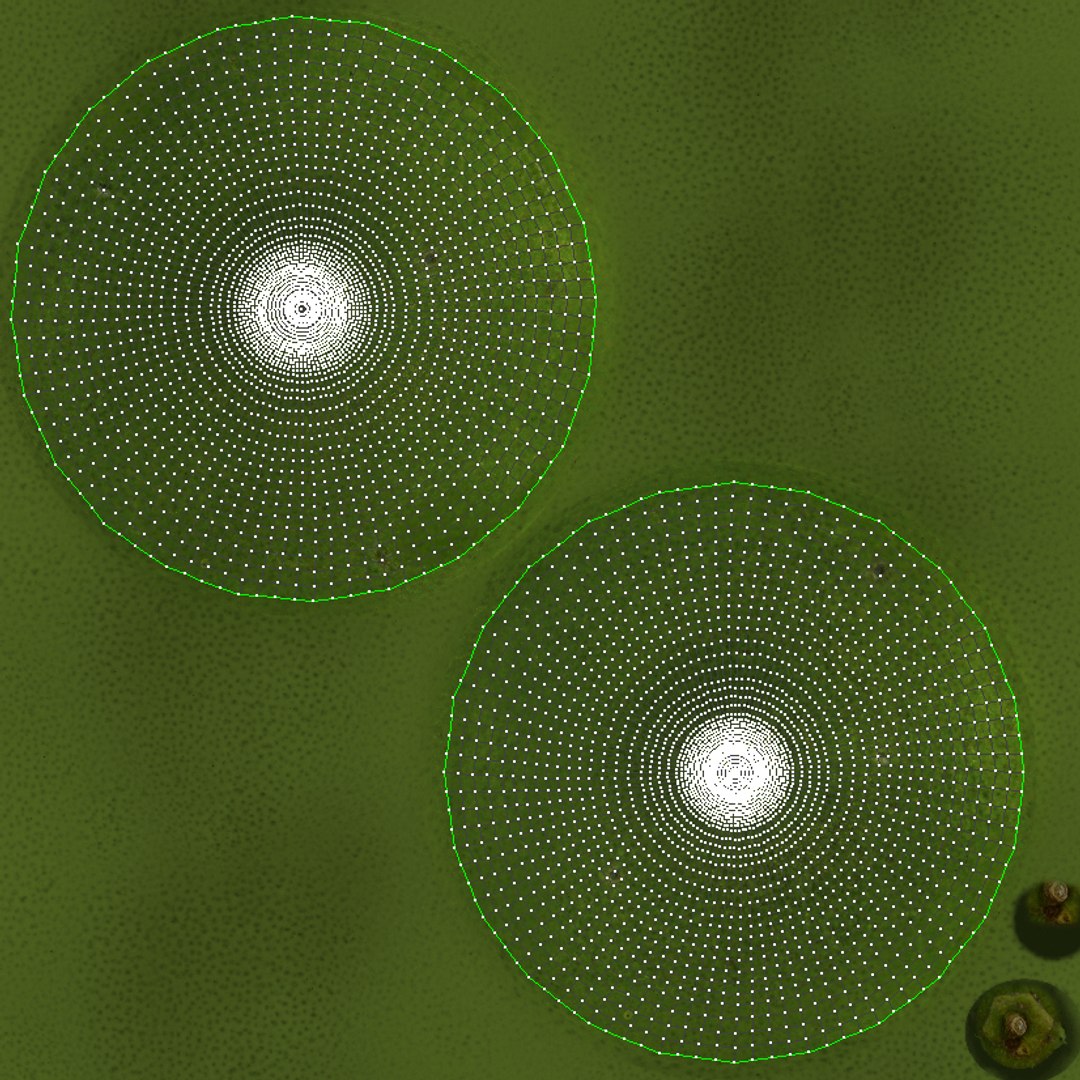 3dsmax lime https://p.turbosquid.com/ts-thumb/KF/RpmIkc/uIH9EDzL/thumb_texture/jpg/1360793402/1920x1080/fit_q87/d151987f90ee5ecb352fdd364cb9dbcfcfc341da/thumb_texture.jpg