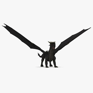 Black Mythical Dragon 3D Model