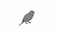 Budgie Green
