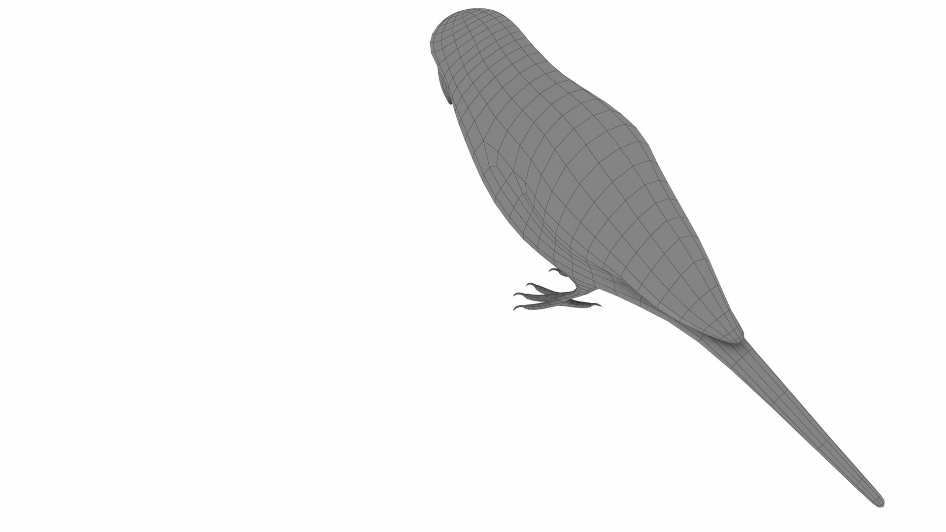 Budgie Green 3D model https://p.turbosquid.com/ts-thumb/KF/SADxX8/AX/budgie9/jpg/1735463214/1920x1080/fit_q87/98100a722126ea0c0a4125846c01687538cc10a5/budgie9.jpg